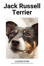 Jack Russell Terrier