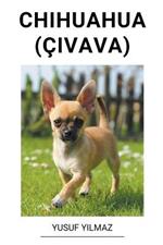 Chihuahua (Civava)