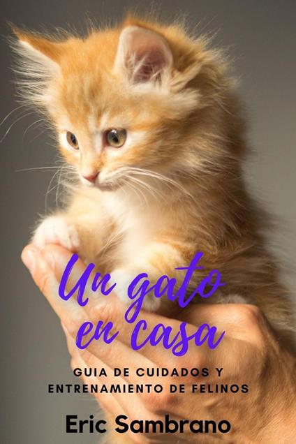 Un Gato en Casa