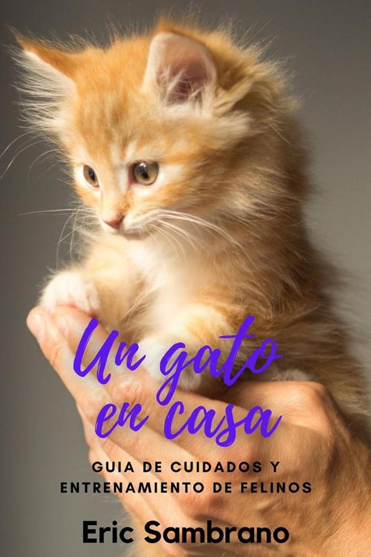 Un Gato en Casa