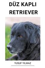 Duz Kapli Retriever