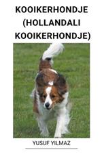 Kooikerhondje (Hollandali Kooikerhondje)