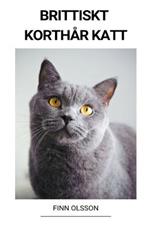 Brittiskt Korthar Katt