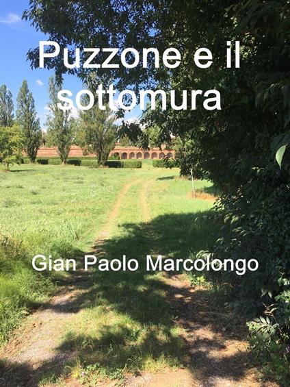 Puzzone e il sottomura - Gian Paolo Marcolongo - ebook
