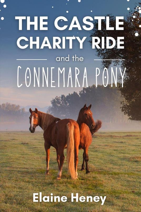 The Castle Charity Ride and the Connemara Pony - The Coral Cove Horses Series - Elaine Heney - ebook