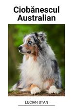 Ciobanescul Australian