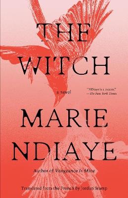 The Witch: A Novel - Marie NDiaye - cover