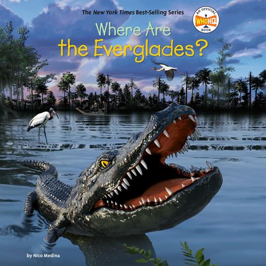 Where Are the Everglades?