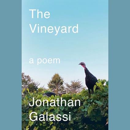 The Vineyard