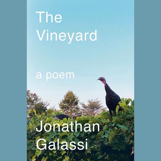 The Vineyard