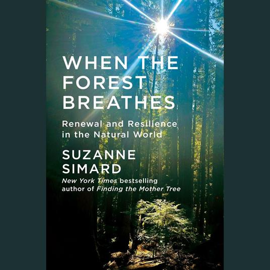 When the Forest Breathes