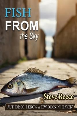 Fish From the Sky - Steve Reece - cover
