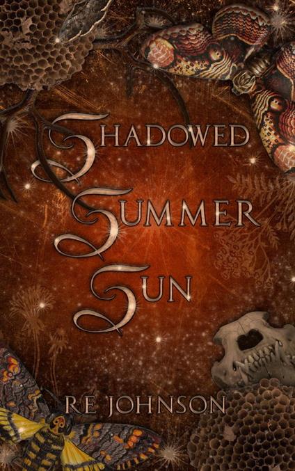 Shadowed Summer Sun