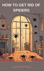 How To Get Rid of Spiders