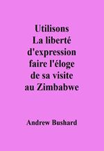 Utilisons La liberté d'expression faire l'éloge de sa visite au Zimbabwe