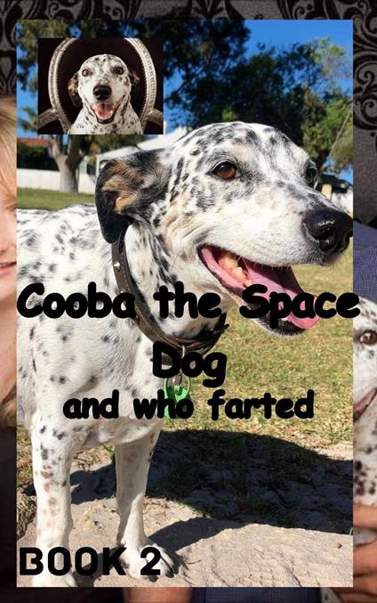 Cooba the Space Dog and Who Farted - william stone greenhill - ebook