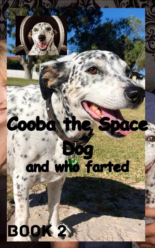 Cooba the Space Dog and Who Farted - william stone greenhill - ebook
