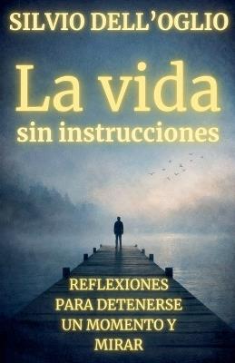 La vida sin instrucciones - Silvio Dell'oglio - cover