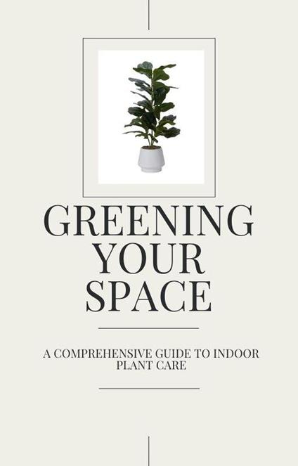 Greening Your Space - A Comprehensive Guide to Indoor Plant Care