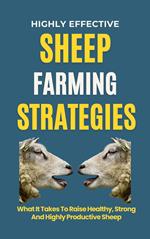 Highly Effective Sheep Farming Strategies: What It Takes To Raise Healthy, Strong And Highly Productive Sheep