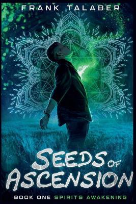 Spirits Awakening - Frank Talaber - cover