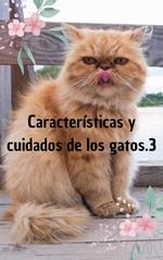 Características y cuidados de los gatos