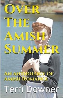 Over The Amish Summer - Terri Downer - cover