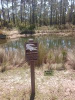 FLORIDA