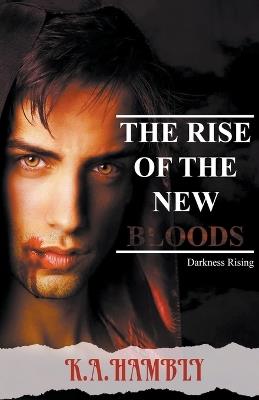 Darkness Rising - K A Hambly - cover