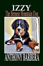 Izzy the Bernese Mountain Dog