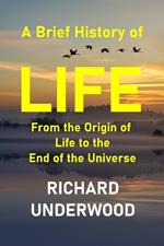A Brief History of Life: From the Origin of Life to the End of the Universe