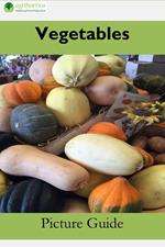 Vegetables: A Picture Guide