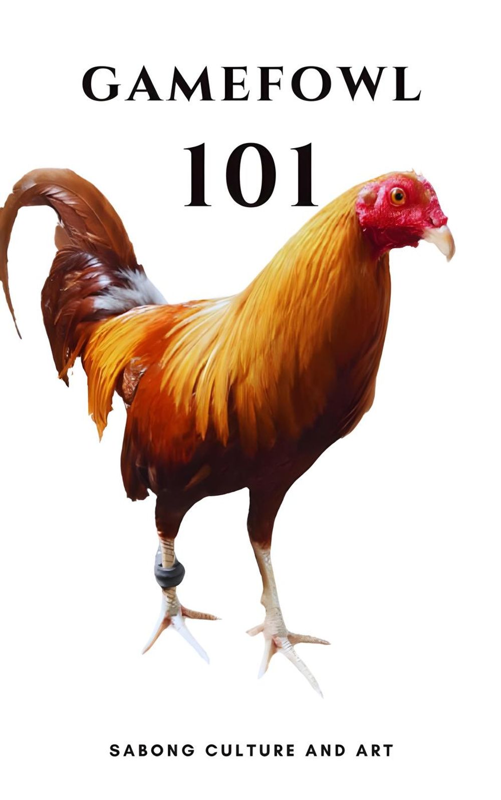 ibs