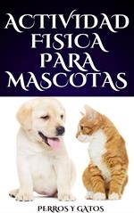 Actividad Física para Mascotas