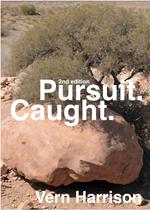 Pursuit. Caught.