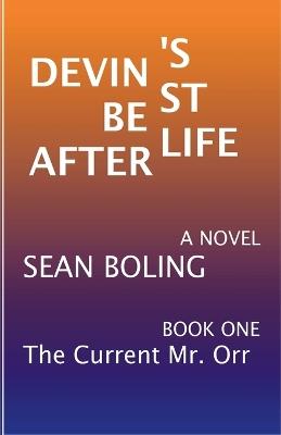 Devin's Best Afterlife - Sean Boling - cover