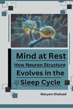 Mind at Rest: How Neuron Structure Evolves in the Sleep Cycle.