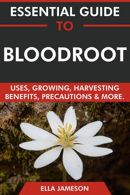 Essential Guide to Bloodroot: Uses, Growing, Harvesting, Benefits, Precautions & More
