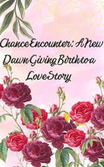 Chance Encounter anew Dawn Giving Birthto a Love Story