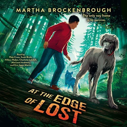 At the Edge of Lost