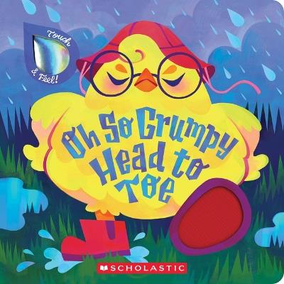 Oh So Grumpy Head to Toe (Touch and Feel) - Scholastic - cover