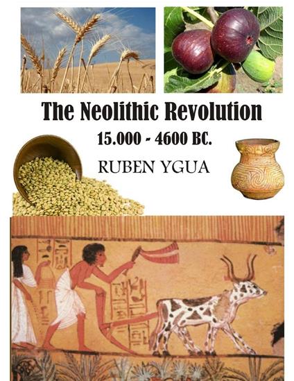 The Neolithic Revolution