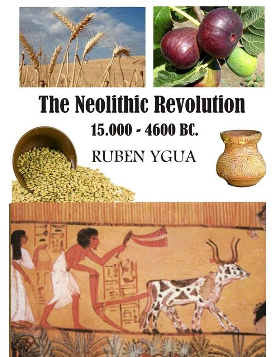 The Neolithic Revolution