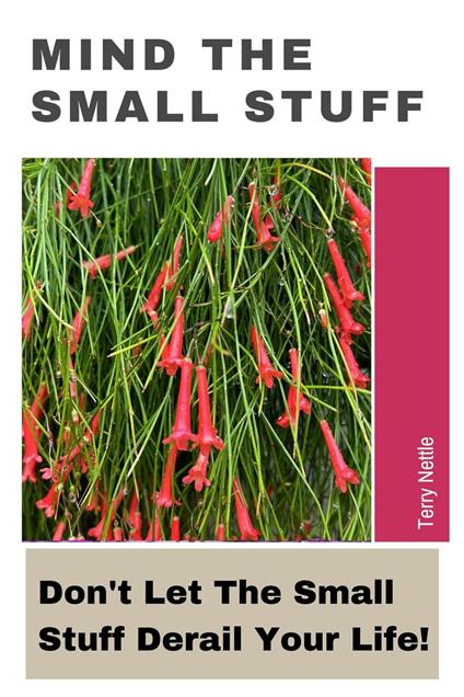 Mind The Small Stuff: Don't Let The Small Stuff Derail Your Life!