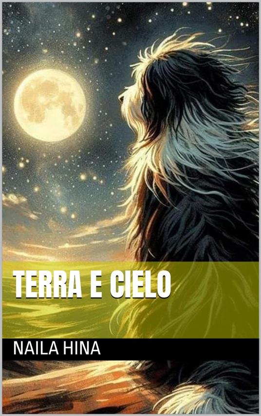 Terra e Cielo - ????? ???,Naila Hina - ebook