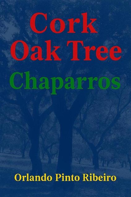 Cork Oak Tree