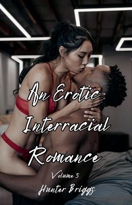 An Erotic Interracial Romance - Hunter Briggs - cover