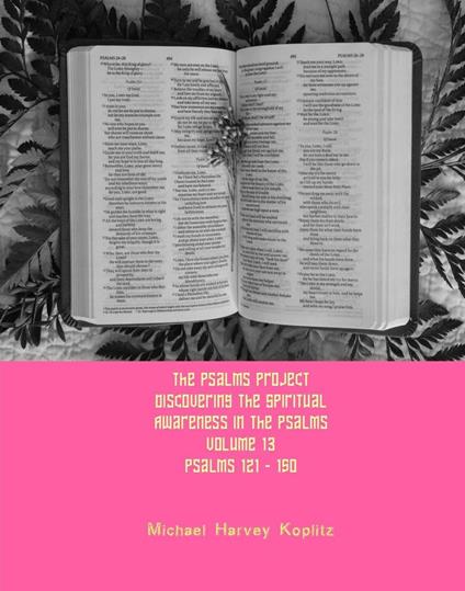 The Psalms Project Volume Thirteen - Discovering the Spiritual World through the Psalms – Psalm 121 - 150 - Michael Harvey Koplitz - ebook