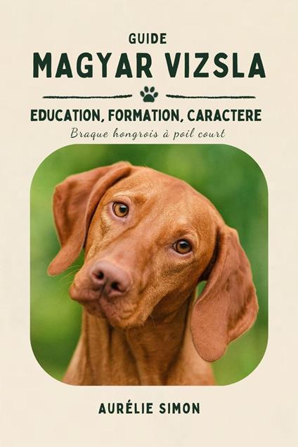 Magyar Vizsla - Education, Formation, Caractère