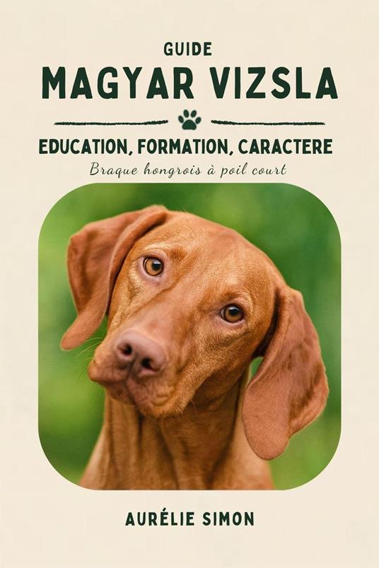 Magyar Vizsla - Education, Formation, Caractère